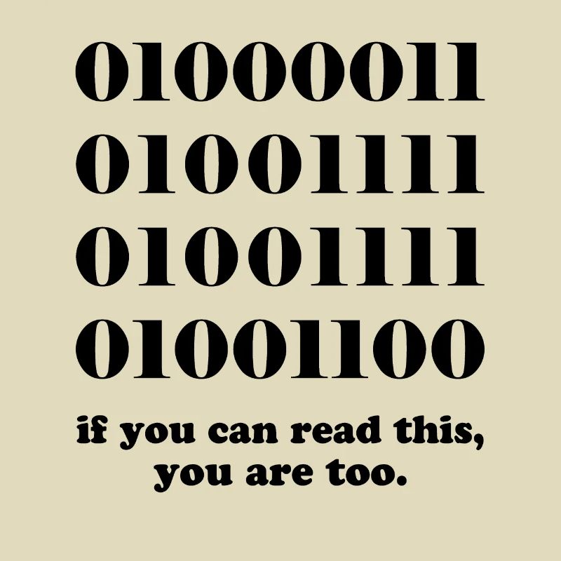 Computer binary code developers gift