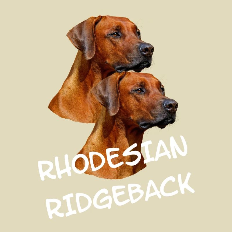 Rhodesian Ridgeback