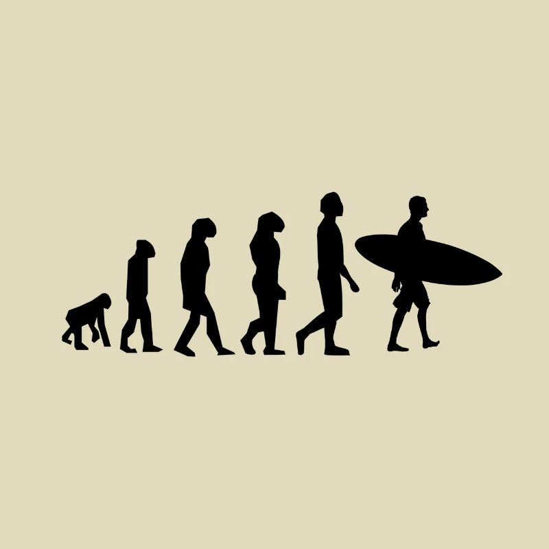 SURF EVOLUTION - SCHWARZ