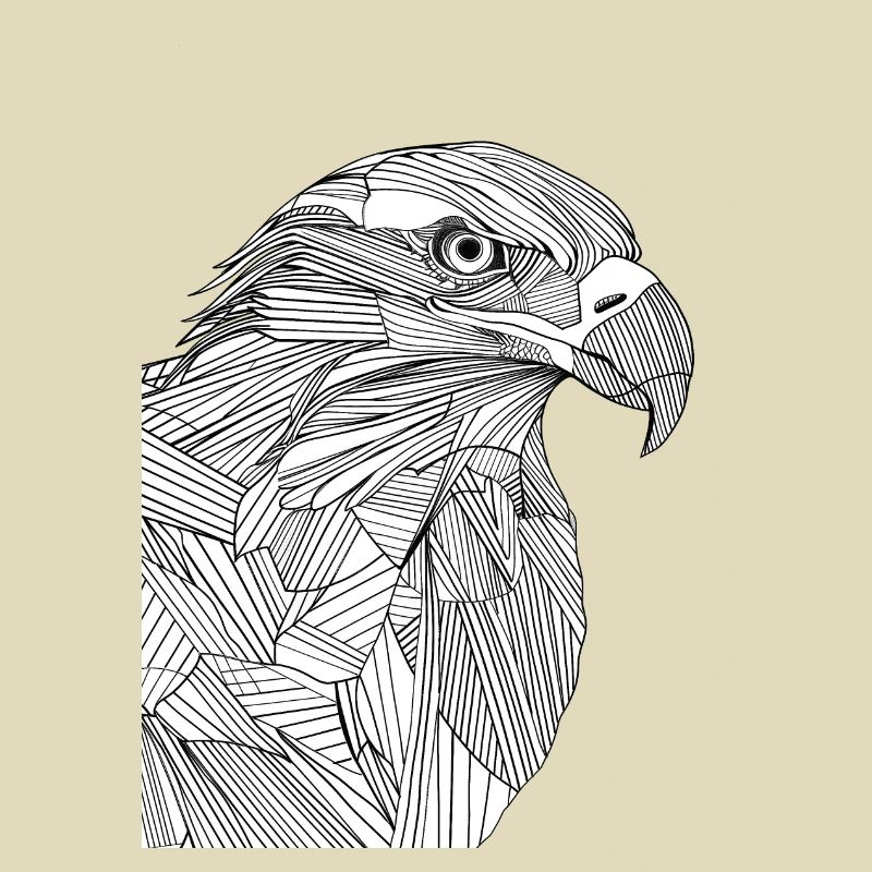 Lignes art aigle #eagle