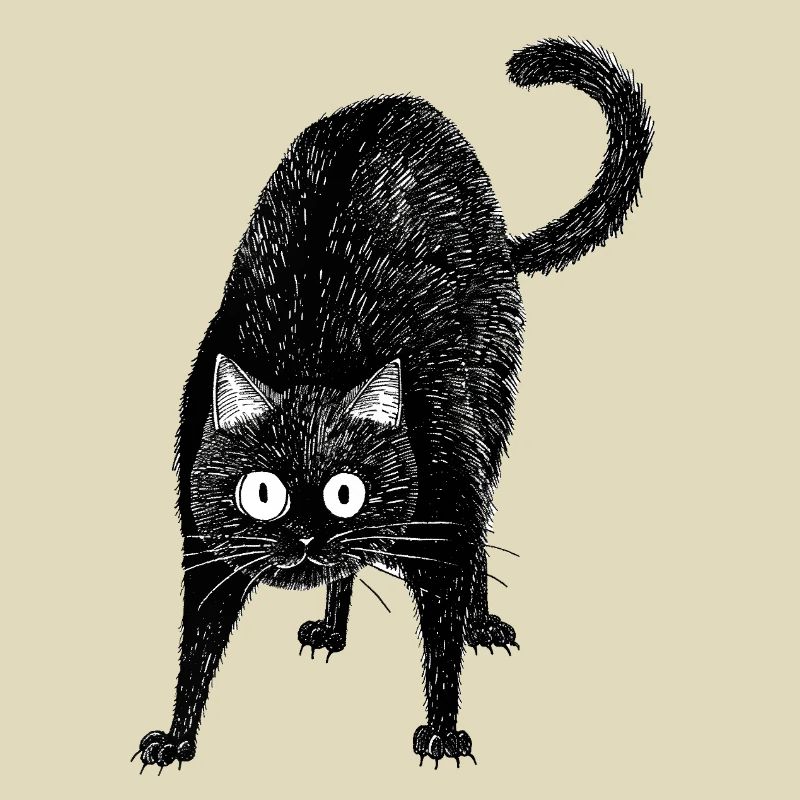 Schwarze Katze