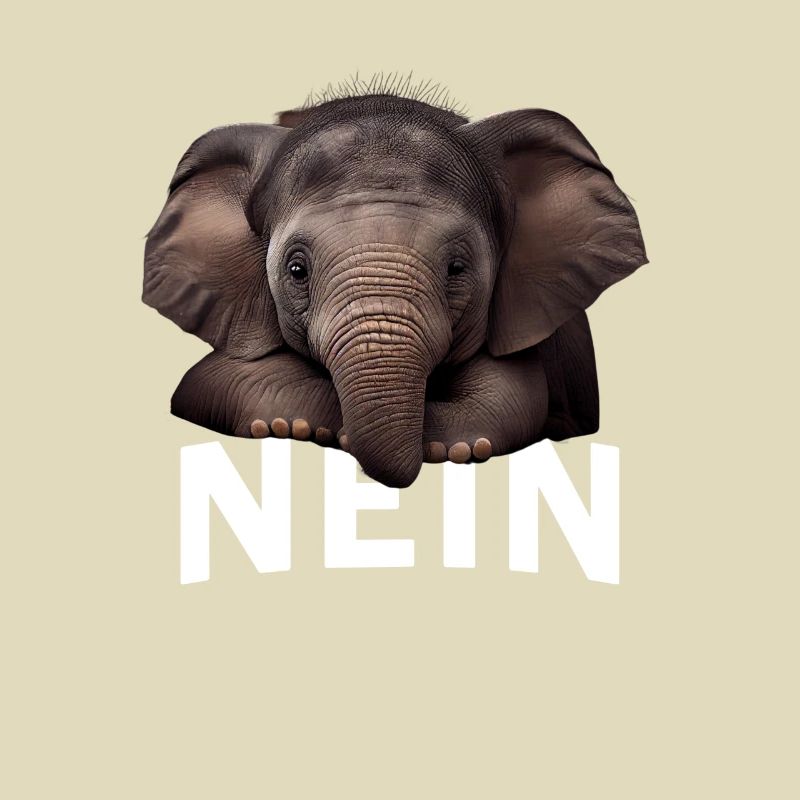 Statement Elephant, Nö Fun, Einfach Nö, Nein