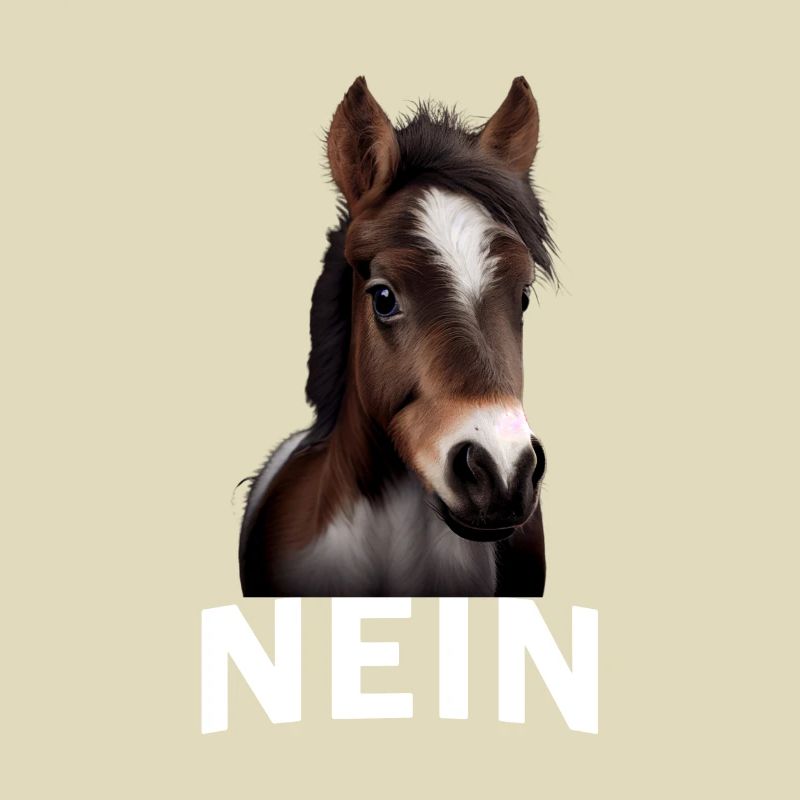 Statement Pferd, Nö Fun, Einfach Nö, Nein