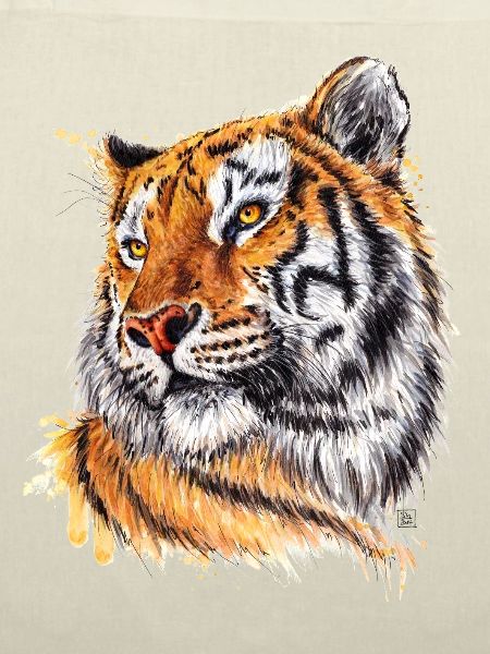 Tiger | tiger