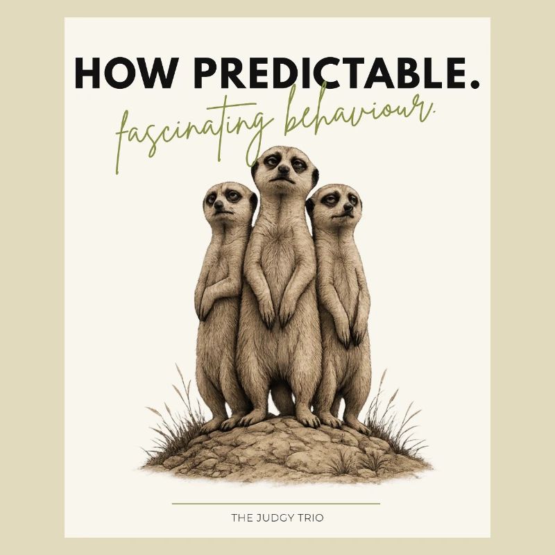 How Predictable Funny Meerkat