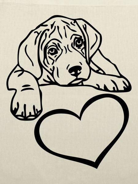 canecorsopuppy2