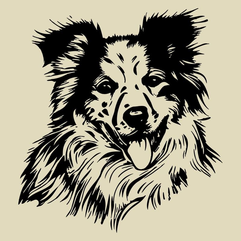 Australischer Schäferhund