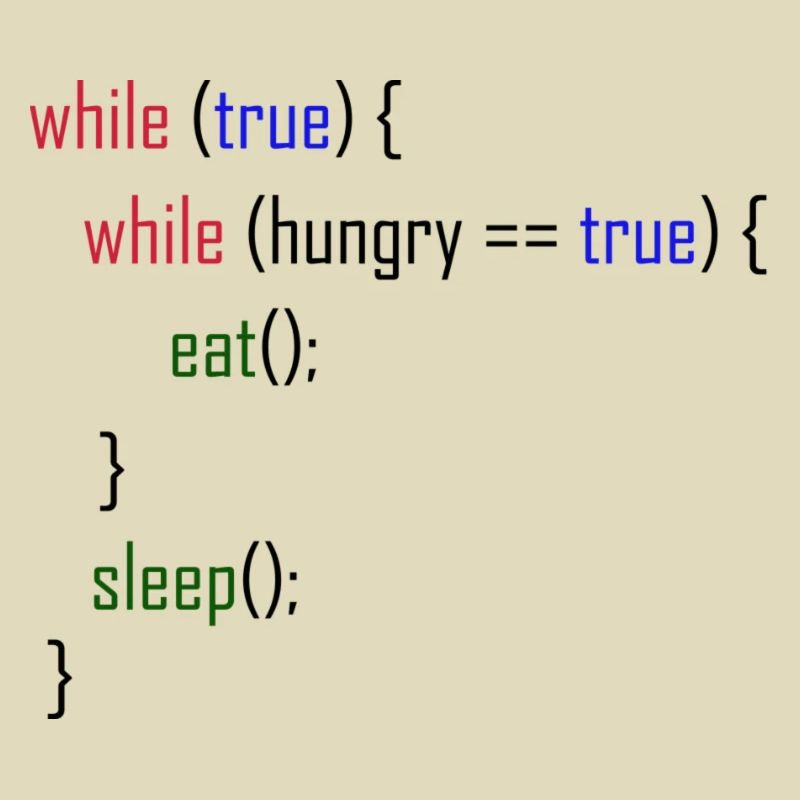 Manger, dormir, répéter le code