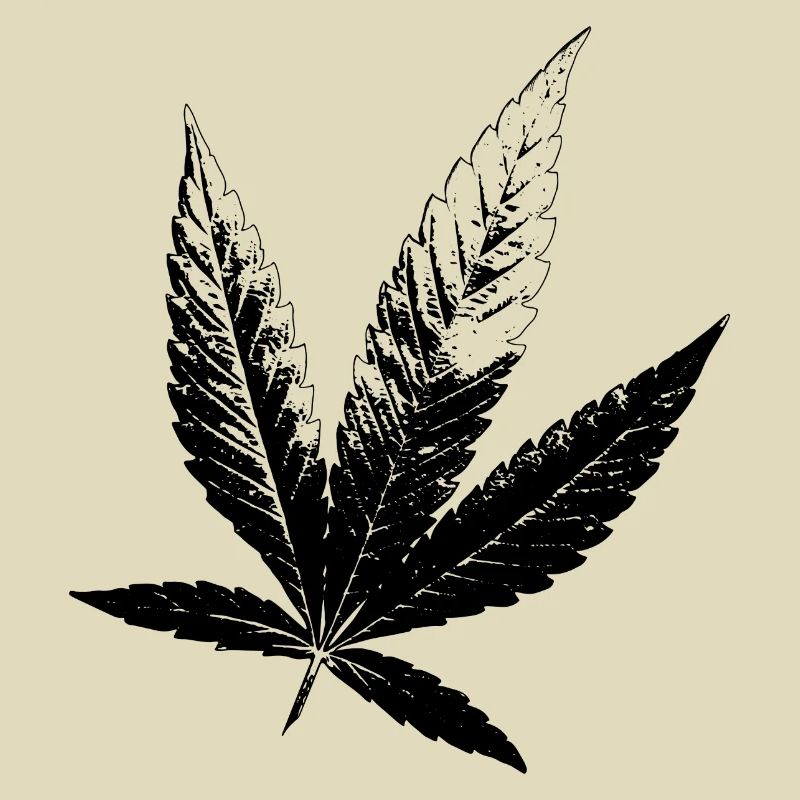 Cannabis Hanf Blatt