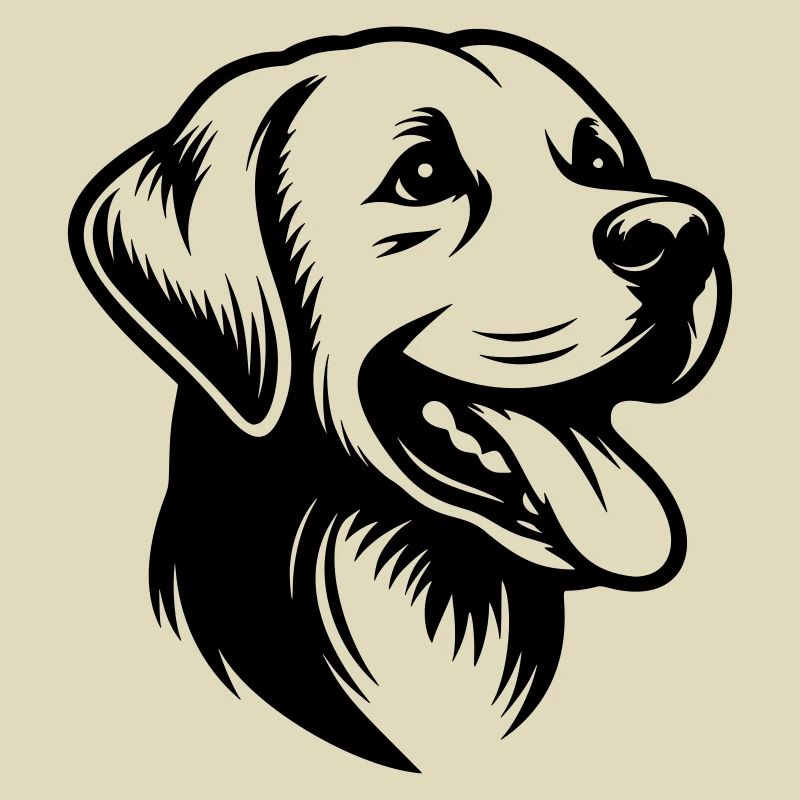 Labrador Drawing Head