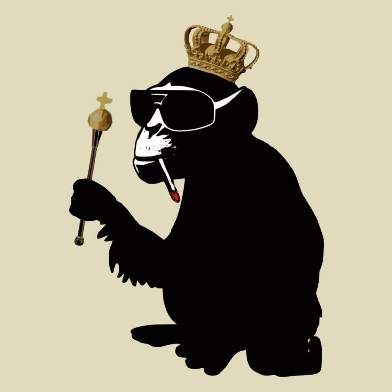 monkey hero
