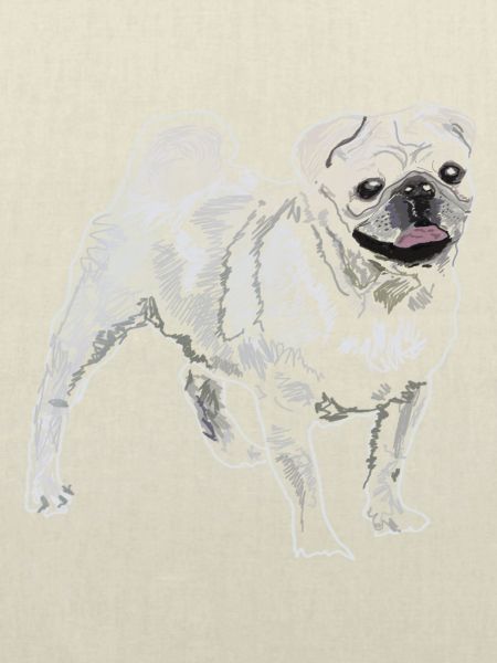 Mops