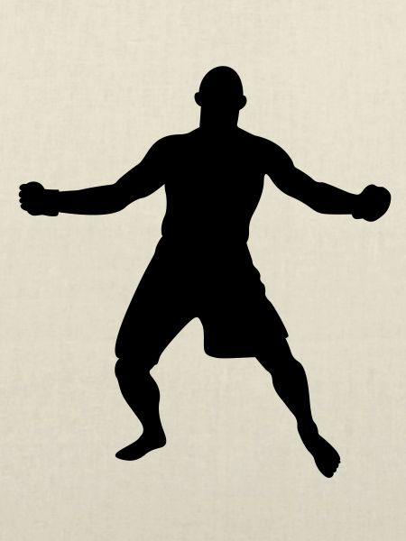 MMA # 7