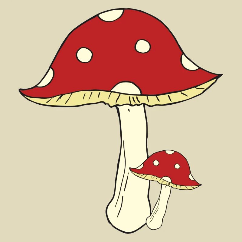 Toadstool big and small