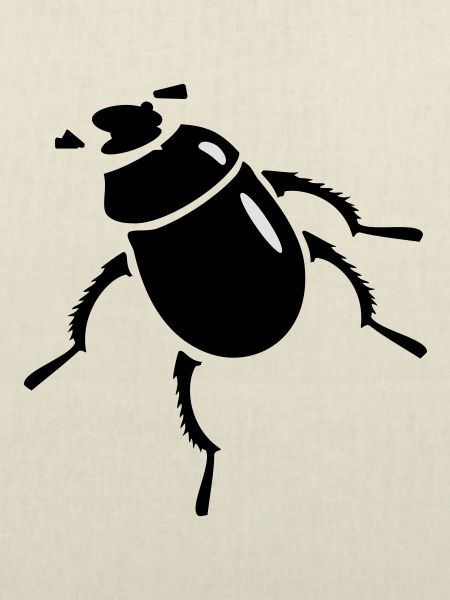 Scarabaeus Käfer / beetle (2c)