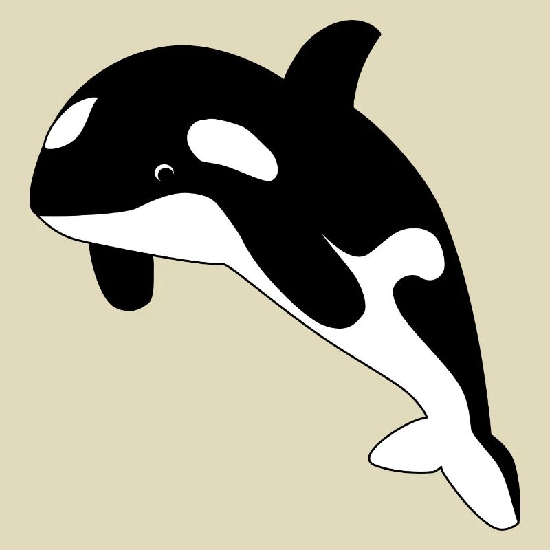 Orca / Schwertwal