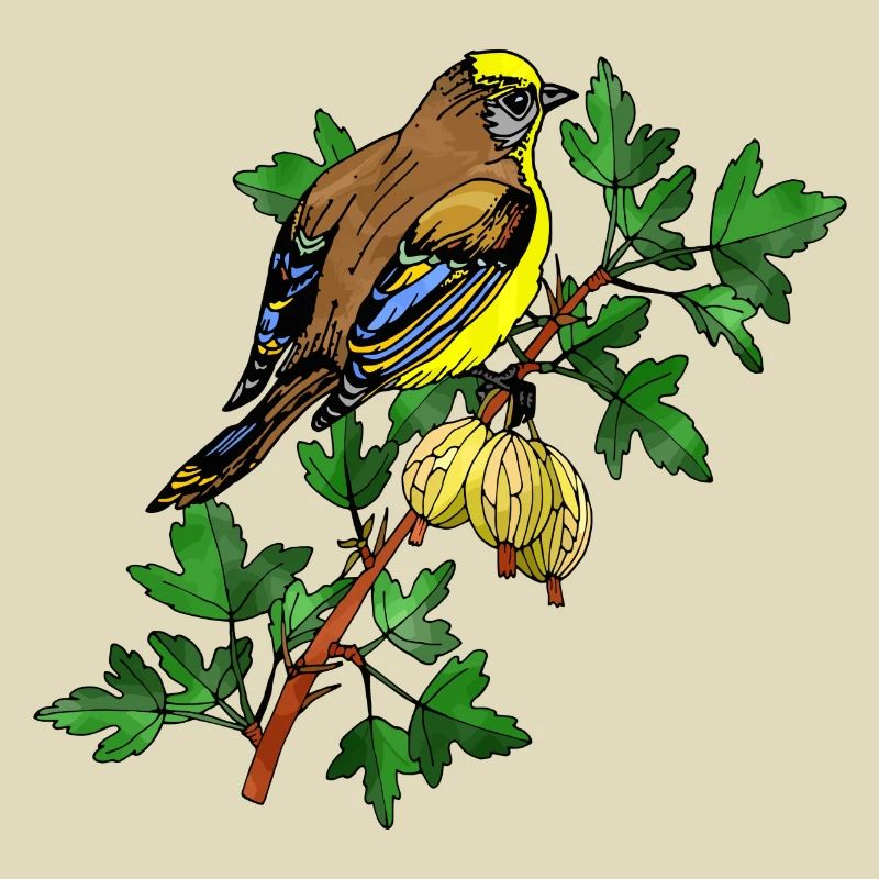 Bunter Vogel
