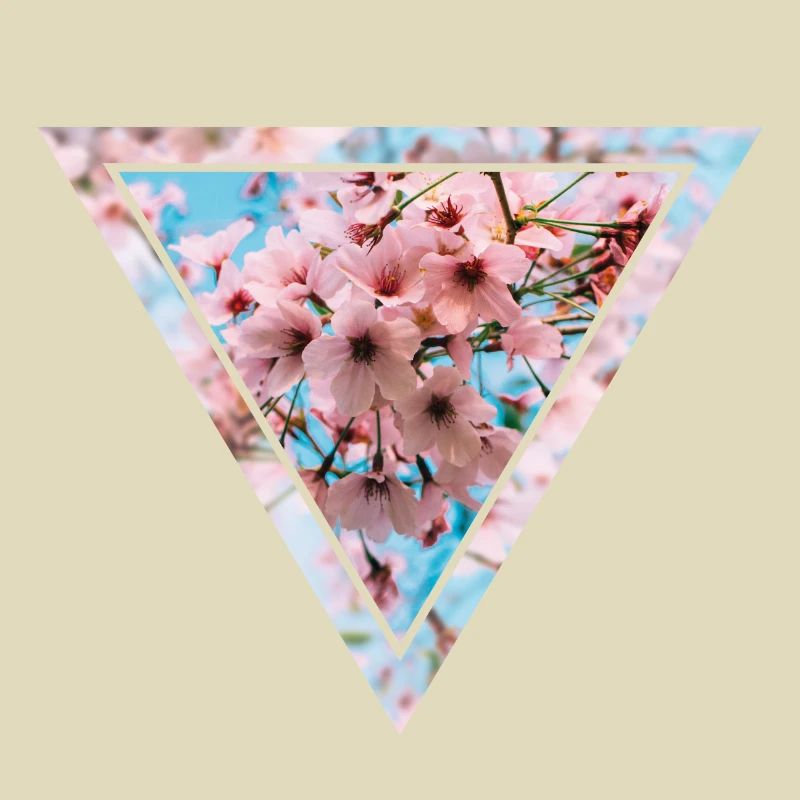 Triangle de fleurs de cerisier