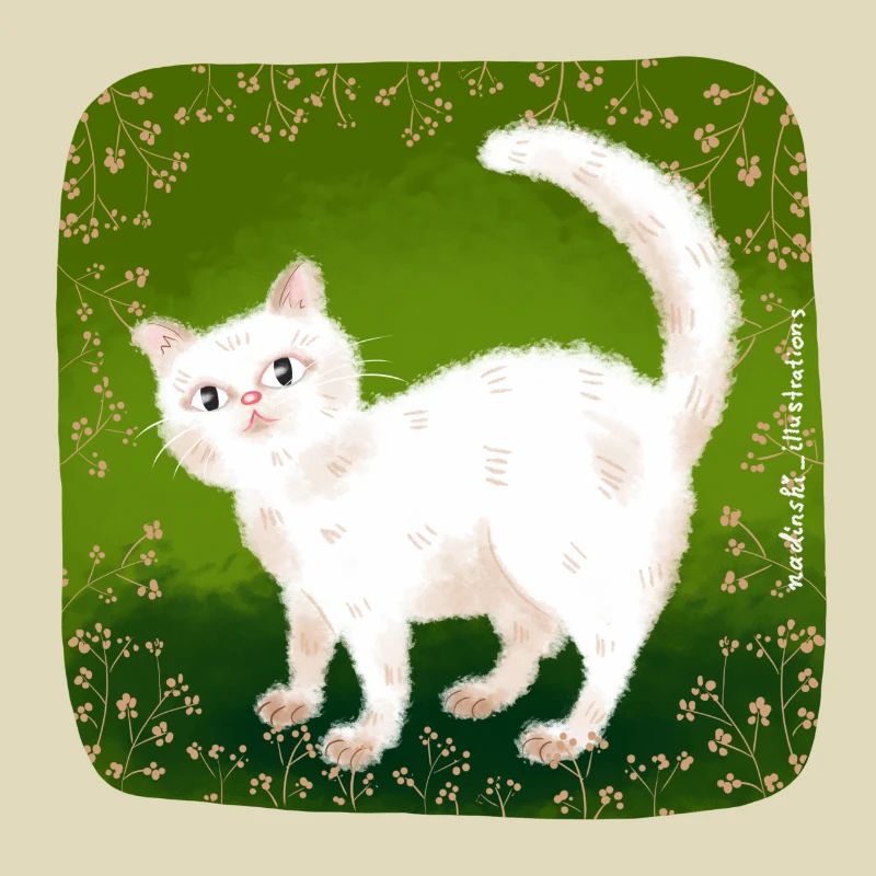 süße Katze