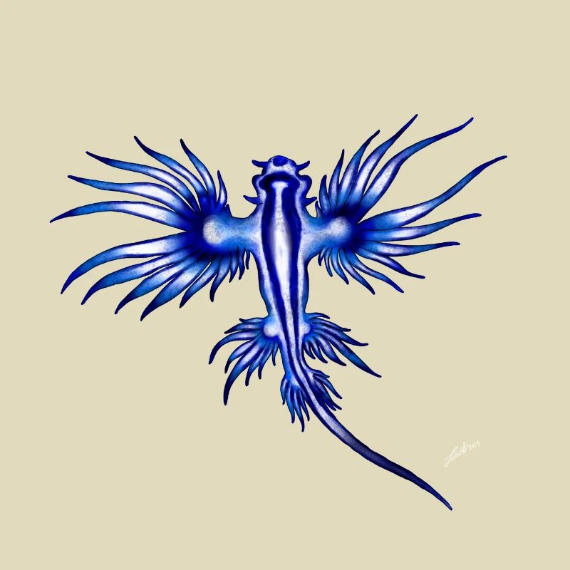 BLAUER DRACHE