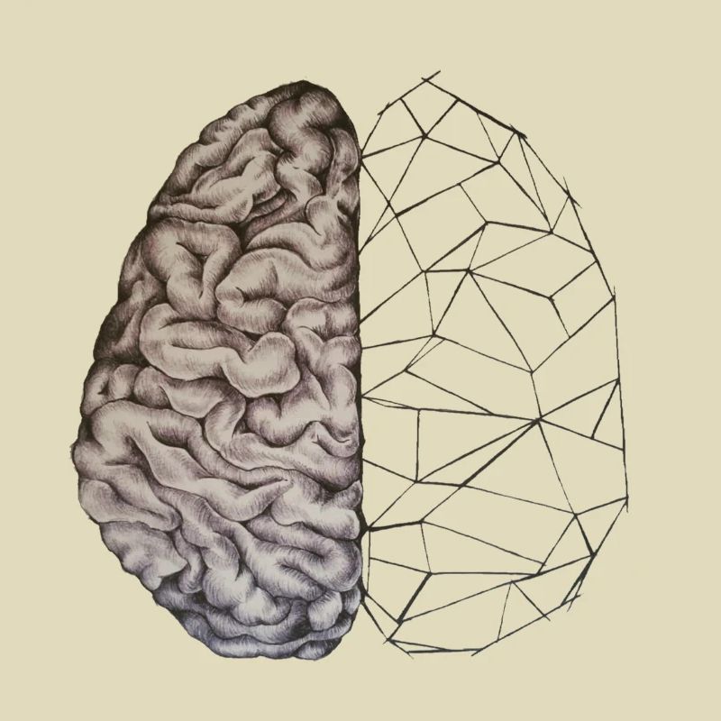Anatomic Brain Original Drawing