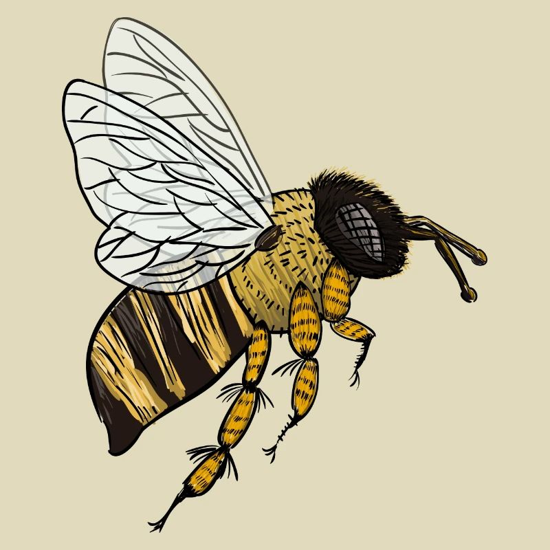 bee