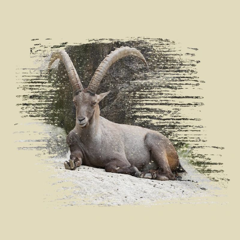 Steinbock als Sternzeichen und Wappentier