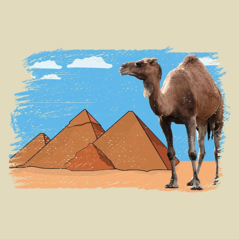 Kamel vor Pyramiden