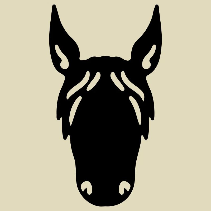 Pferd Pferdekopf Reiter Reitsport