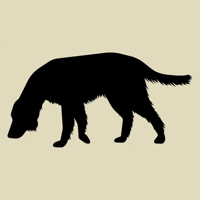 Hund