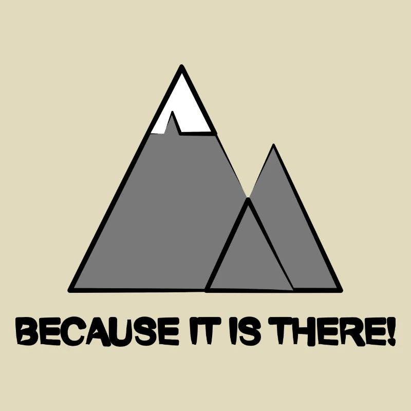 because it is there