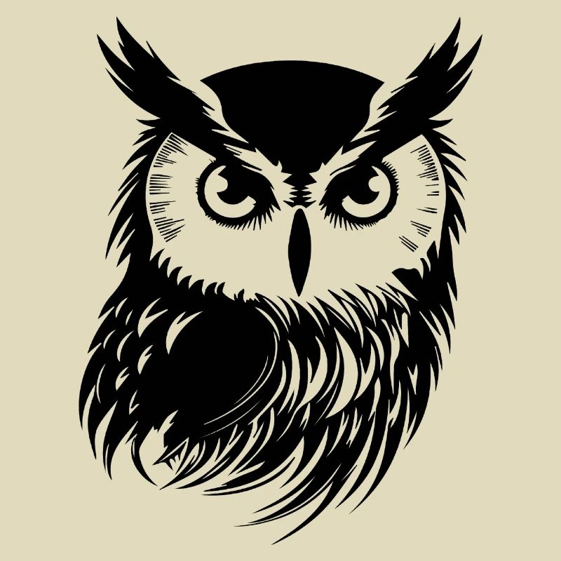 Eule Eulen Vogel Vögel