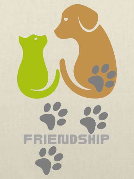 Friendship