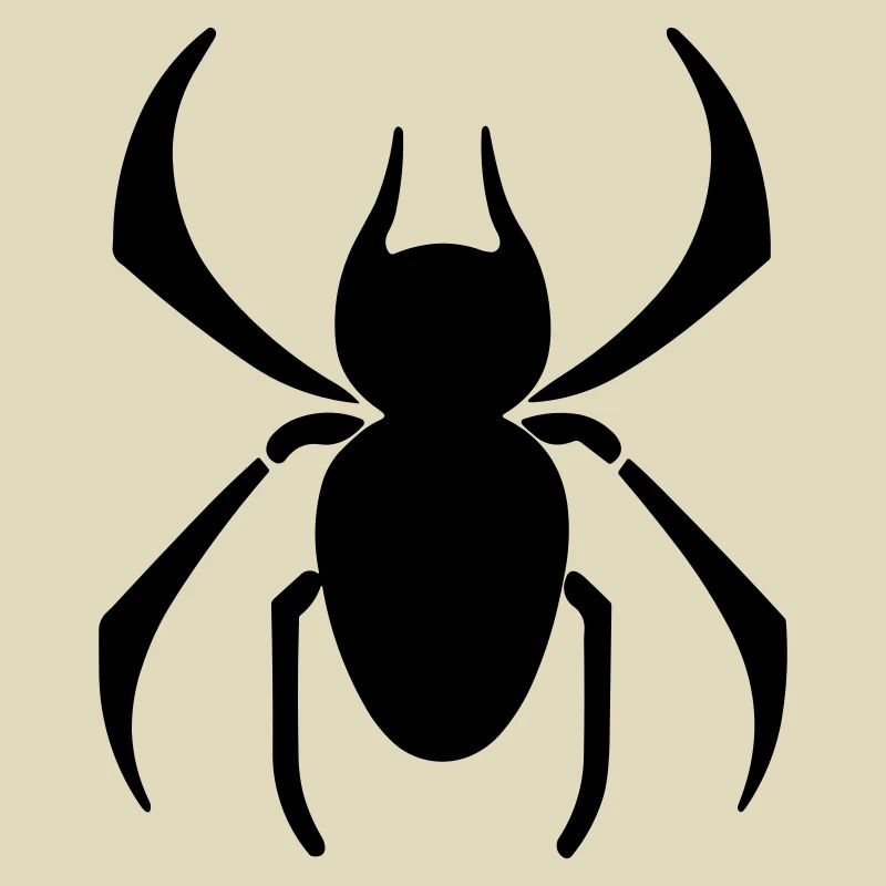 Spinne