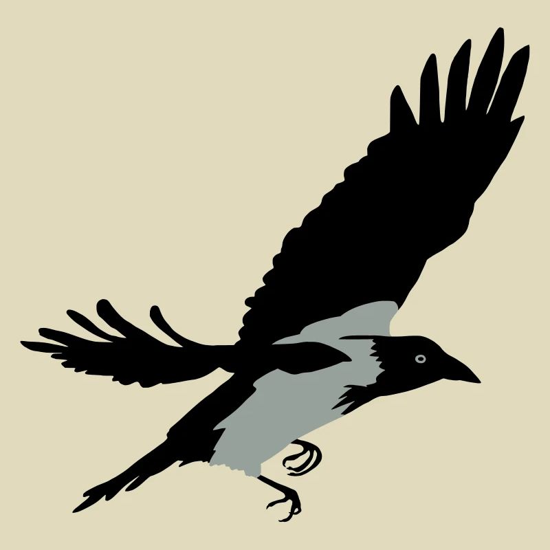 Krähe
