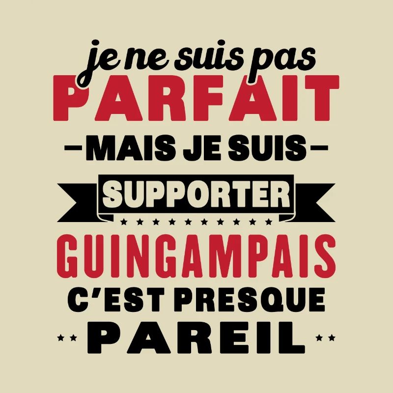 Nicht perfekt, aber ich bin ein Guingamp-Fan