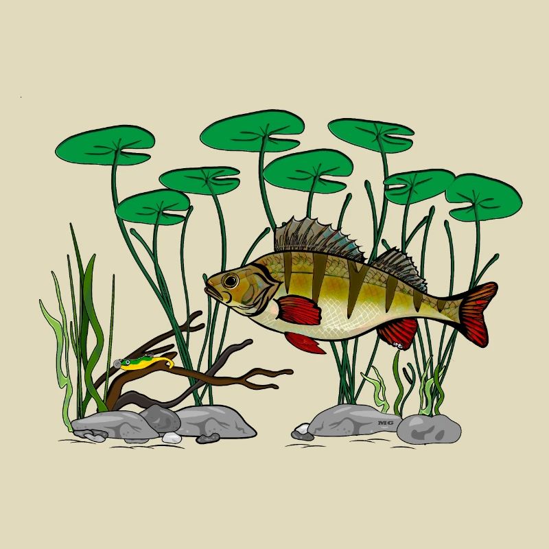 Barschfischen