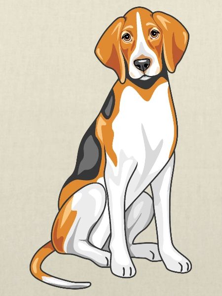 Sitzender Foxhound