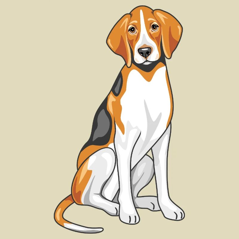 Sitting foxhound
