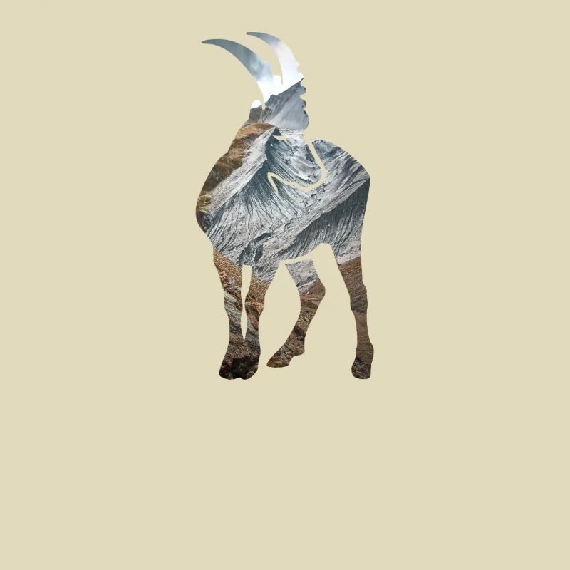 Alpensteinbock Sternzeichen Klettern Berggipfel
