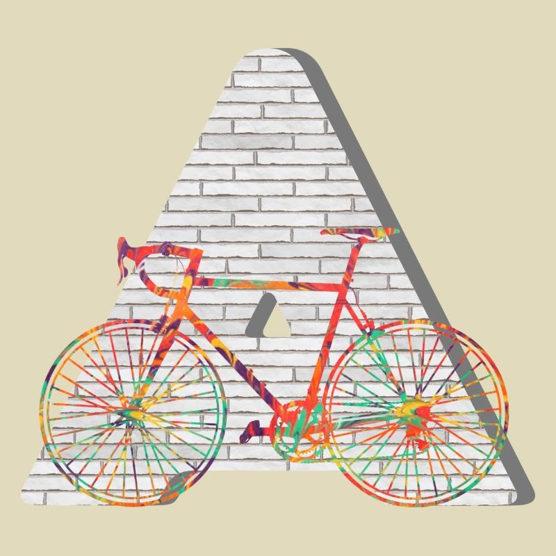 bicycle e 249 a