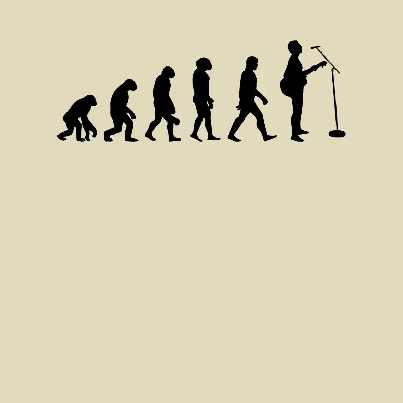 Évolution Du Guitare