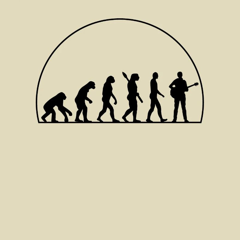 Évolution Du Guitare