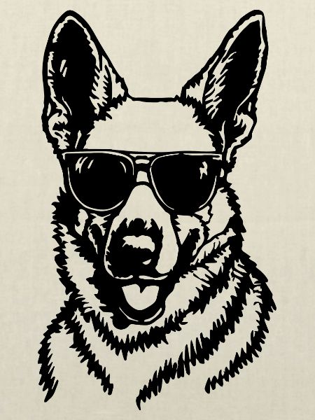 Schäferhund Hund Hundekopf