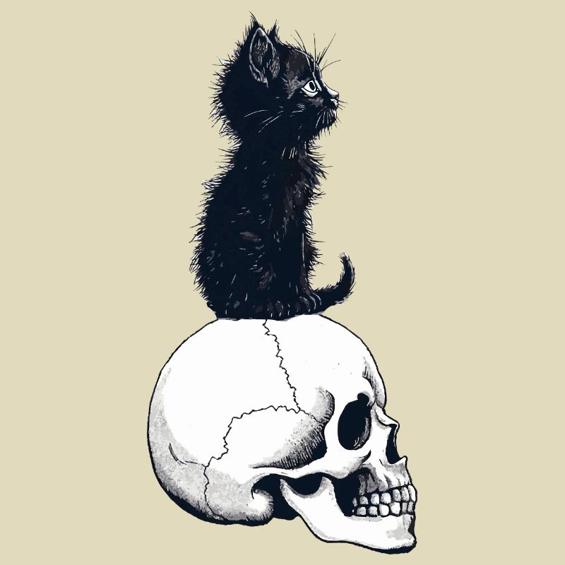 Chaton mignon assis sur un crâne