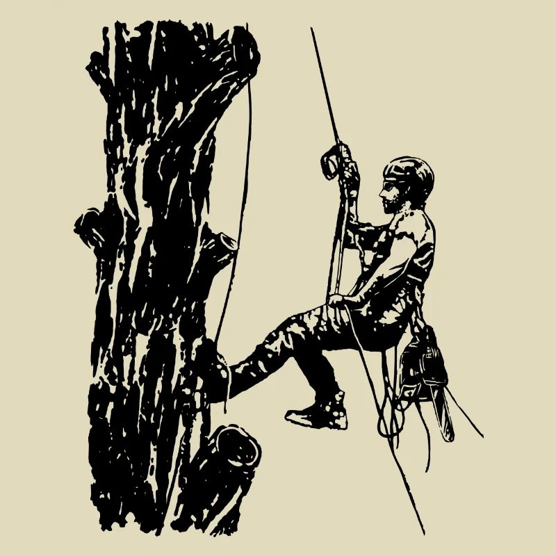 Arborist Baumkletterer an Eiche (Monochrome)