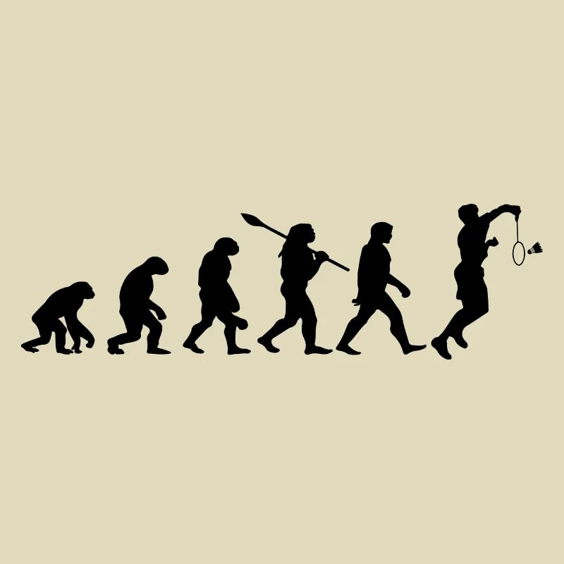 Badminton Evolution Badminton Player