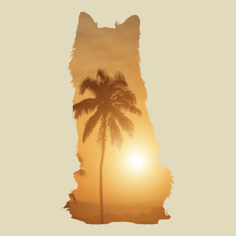 Sommerstrand - Australischer Schäferhund