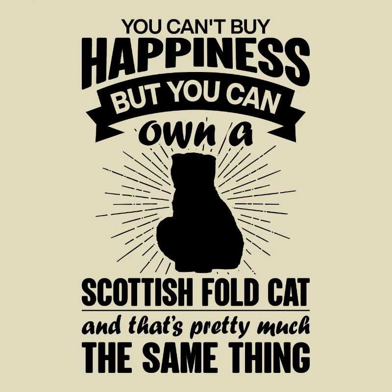 Peut acheter un chat Scottish Fold