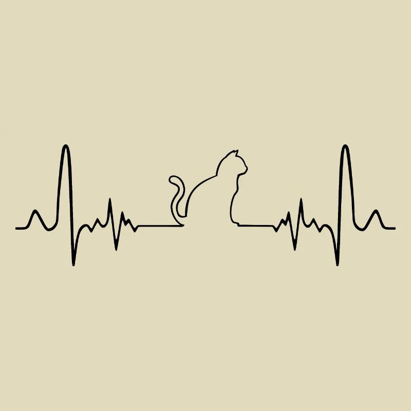 EKG Katze